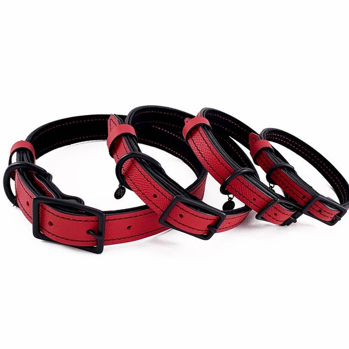 Collier pour chien en cuir rouge et noir pour la vente par Poppy and Payson