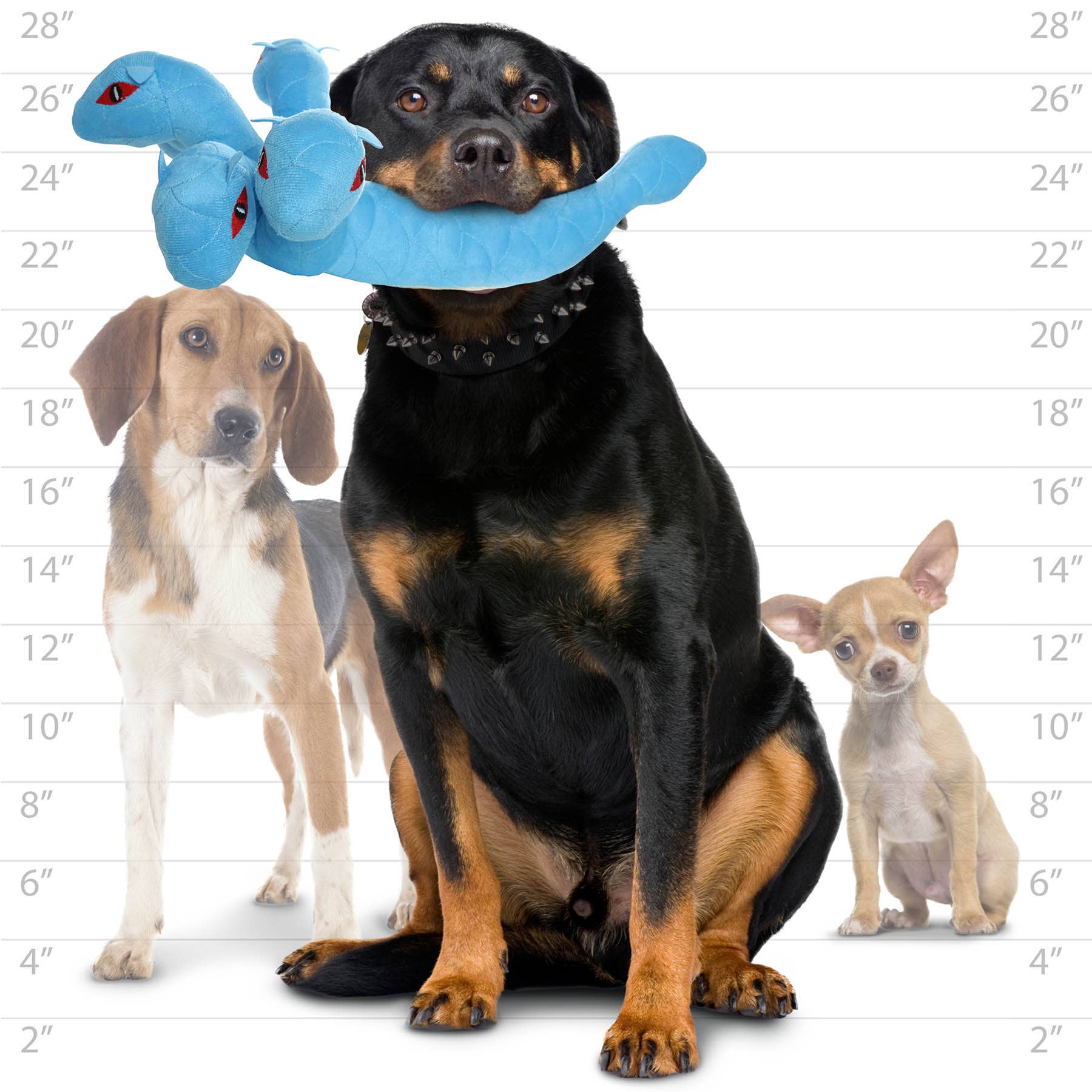 Tuffy Dog Toys - VIP Products - Vendita all'ingrosso Giocattoli sonori per animali - Cani - Mighty Dragon - Hydra, giocattolo per cani soffice e resistente con squeaky6