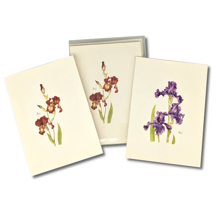 Earth Sky + Water - Wholesale Stationery/Notecard Set - Iris Assortment3