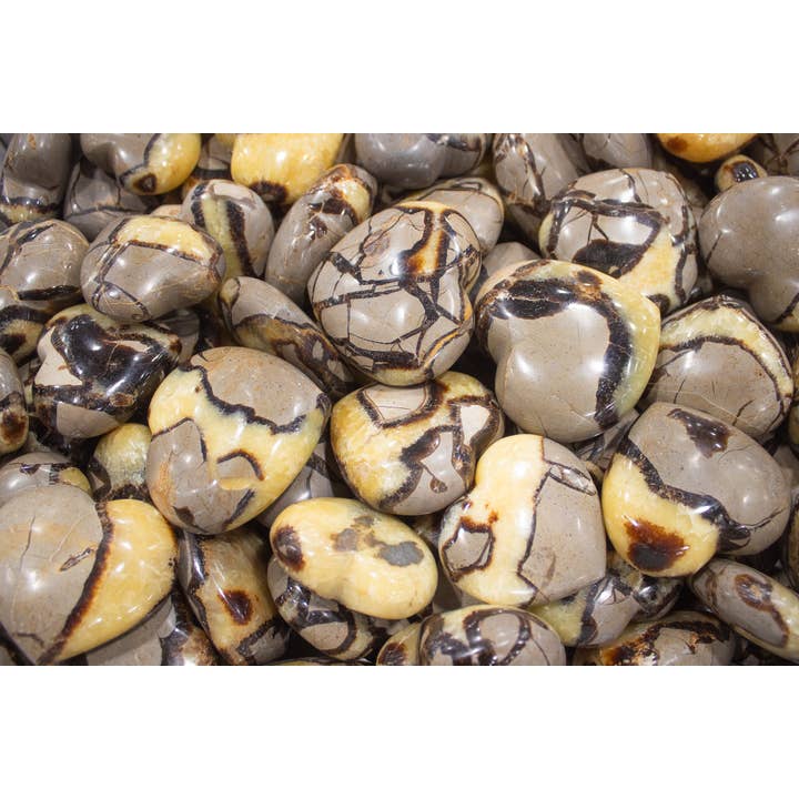 Quasar Gems USA - Wholesale Spiritual Stone/Crystal - Septarian Hearts