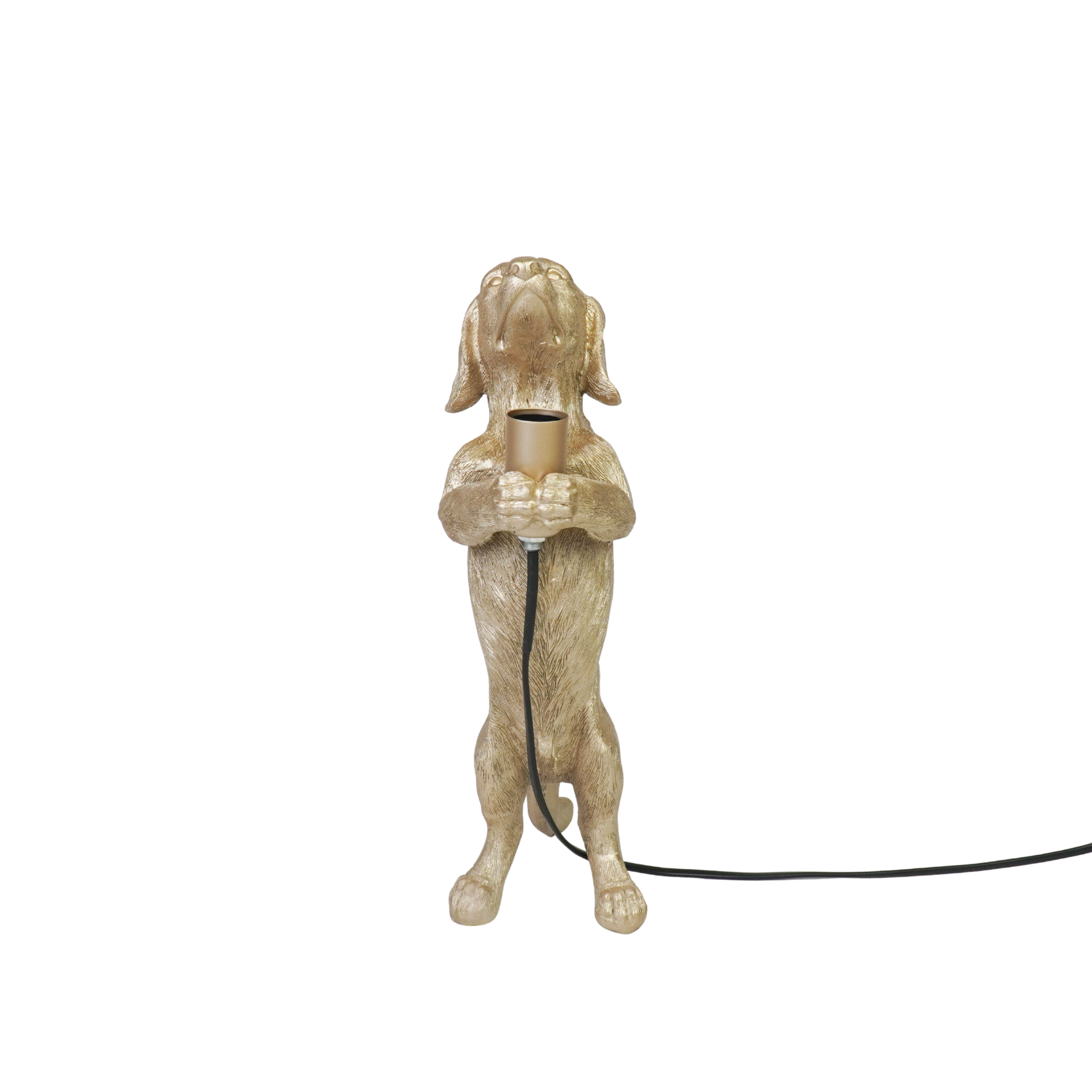 Housevitamin bv - Wholesale Figurine Lamp - Table Lamp - Dachshund Lamp - Polyresin - Gold - E14 - 10x15x38cm4