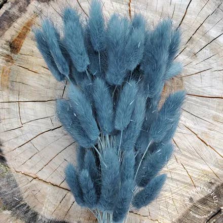 BLOOMINGFUL.COM - Wholesale Dried/Pressed Flowers - Dried Bunny Tails, 50-60stems - Dusty Navy Blue (119)