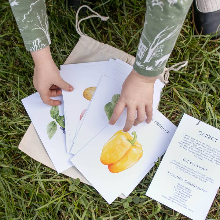 Feed & Dwell – Großhandel Lernkarten – Kind & Baby – 40 Lernkarten mit saisonalen Produkten | Garten-Lernkarten