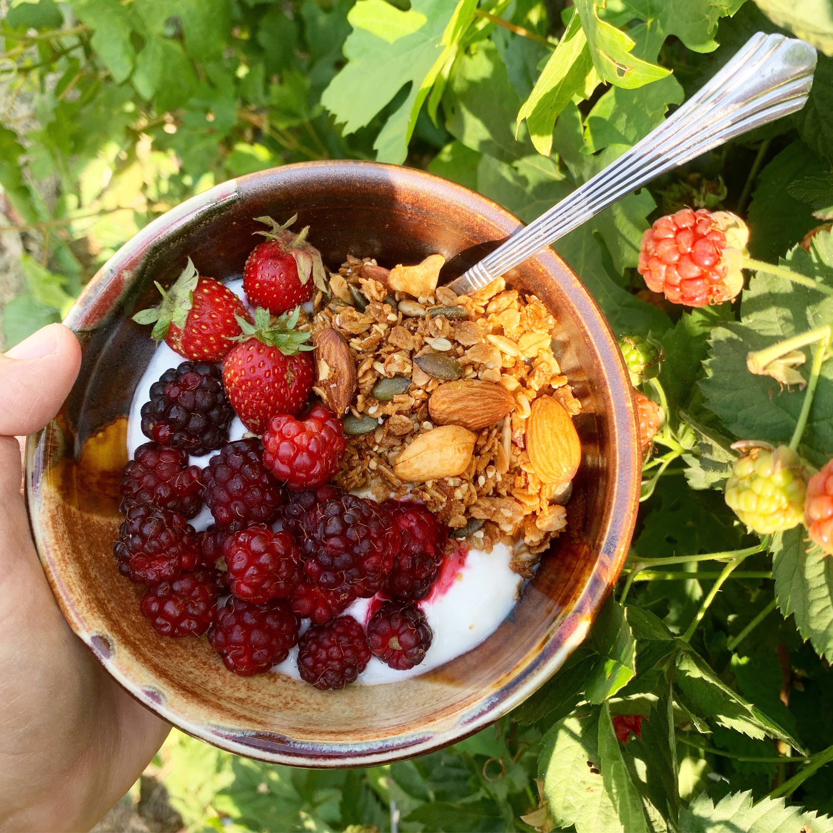 Bearclaw Kitchen - Wholesale Granola - 2 oz Honey Run Granola2