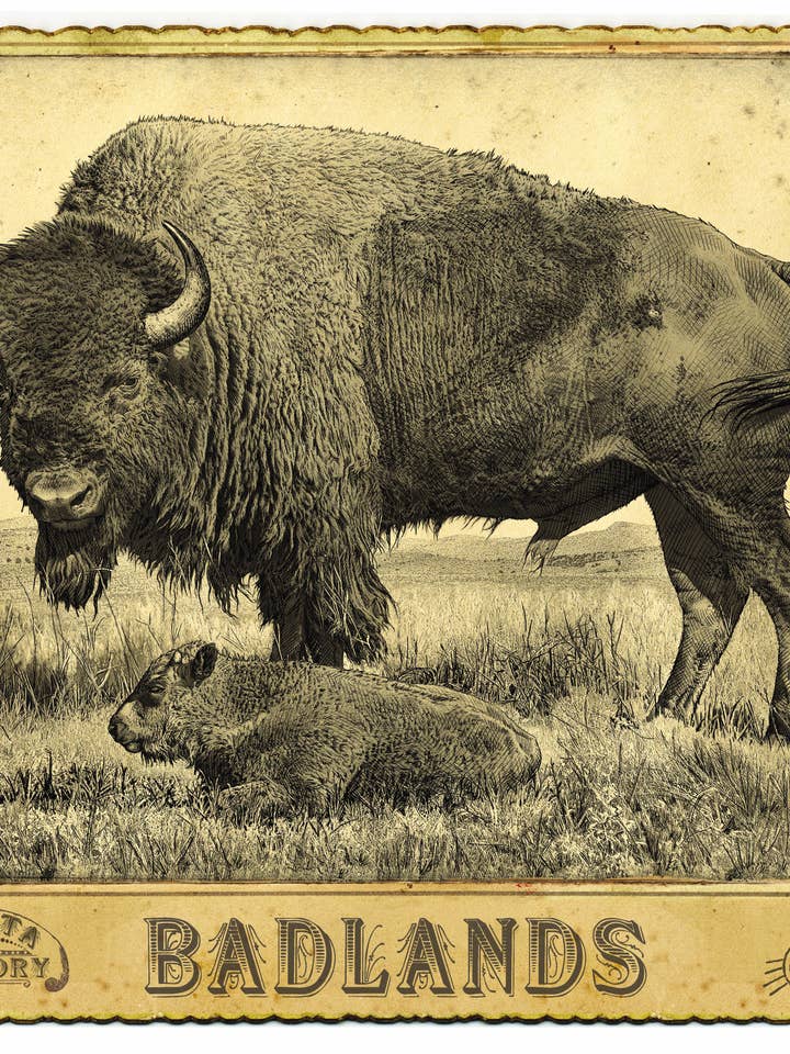 Badlands de Buffalo-Calf (Enseigne en métal) - Carte de cabinet vintage pour la vente par Bob Coronato: Rodeo Posters - Original Art - Home Décor
