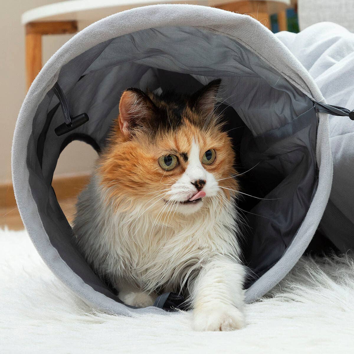 InnovaGoods - Wholesale Pet Collar Charm - Cat/Dog - InnovaGoods Funnyl Folding Pet Tunnel5