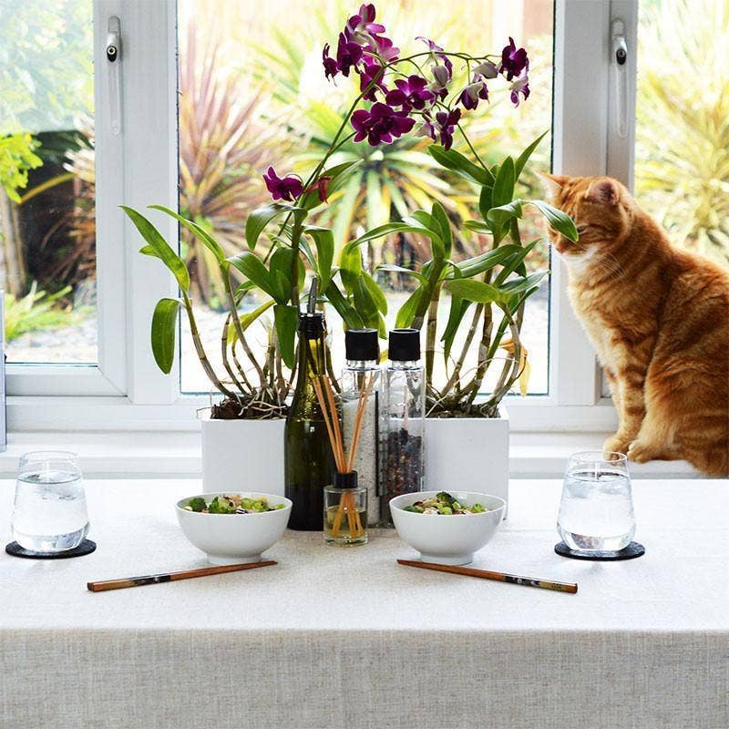 Rinkit Ltd – wholesale Bowl – Argon Tableware Classic Rice and Dessert Bowl - 5"2