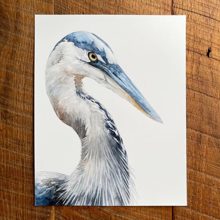Great Blue Heron - Watercolor Art Print, 8x10 inches for wholesale by Amy Shawley Paquette