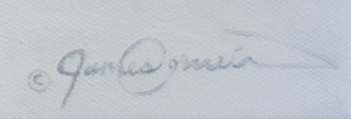 James Corwin Fine Art – Engroshandel Kunsttryk – Spirit - Native American Horse Western Animal Art Print5