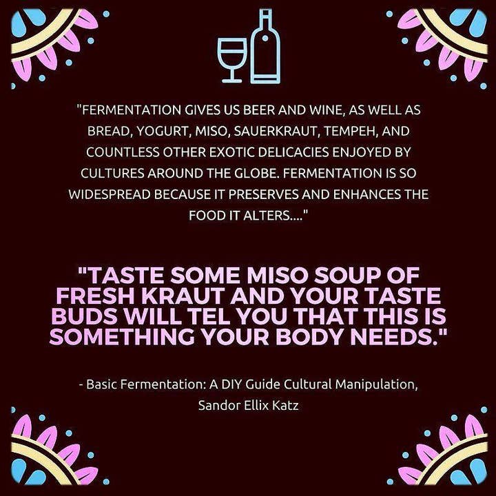 Microcosm Publishing & Distribution - Wholesale Cookbooks & Food - Basic Fermentation: A DIY Guide to Cultural Manipulation4