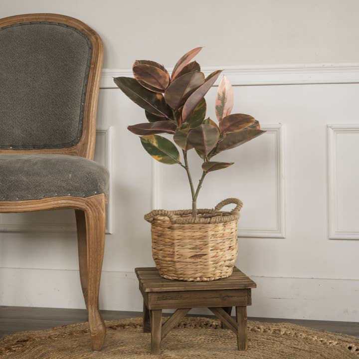 Ragon House - Wholesale Artificial Plant - 25" MAGNOLIA LEAF TREE
