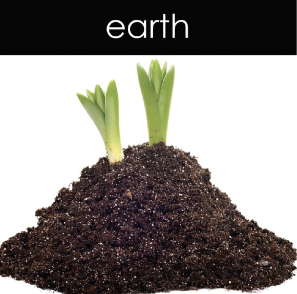 Candle Chemistry - Wholesale Reed Diffuser - Earth Reed Diffuser0