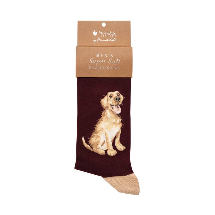 Golden Labrador Men's Socks - Good as Gold for wholesale by Wrendale Designs