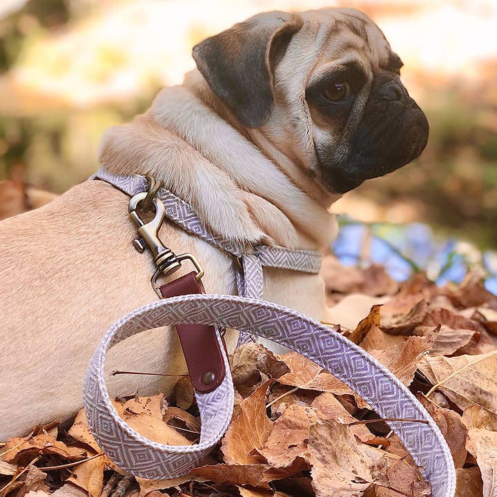 Corcho Strap for wholesale by Ladran Gaucho