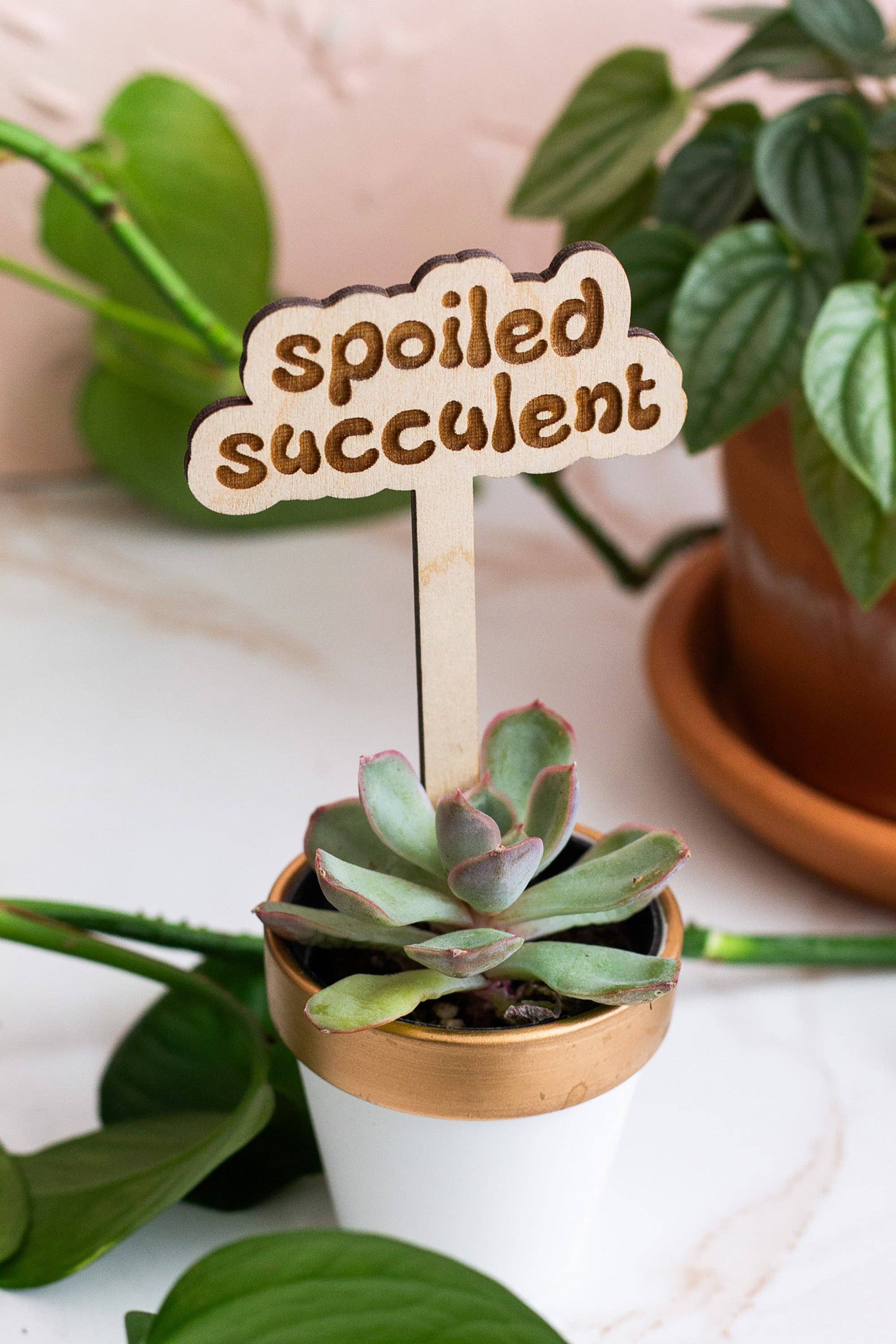 The Print Pantry - Wholesale Garden/Lawn Stake - Retro Funny Wooden Plant Markers6
