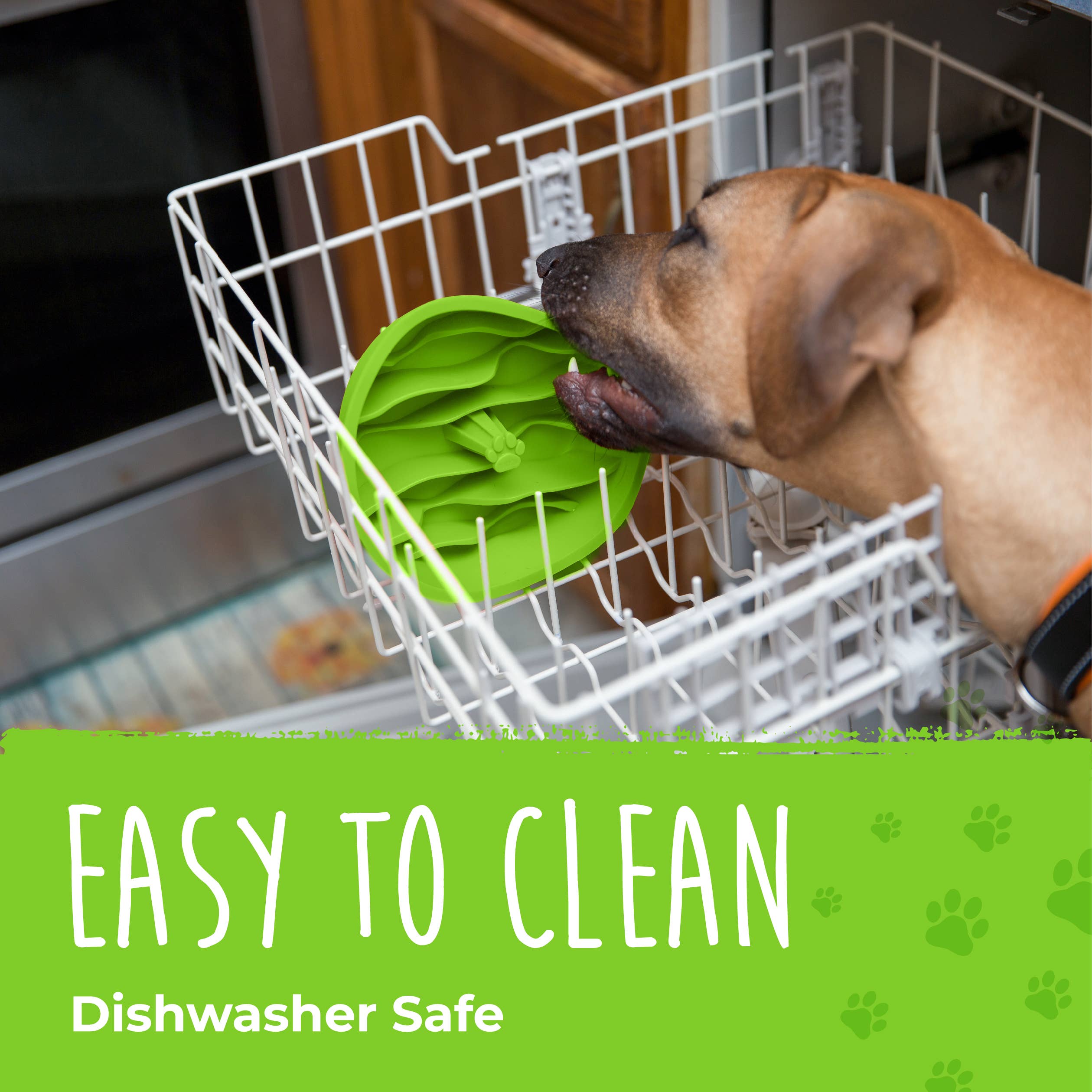 Mighty Paw - Vente Gamelle – chat et chien - Insert pour gamelle anti-glouton pour chien8