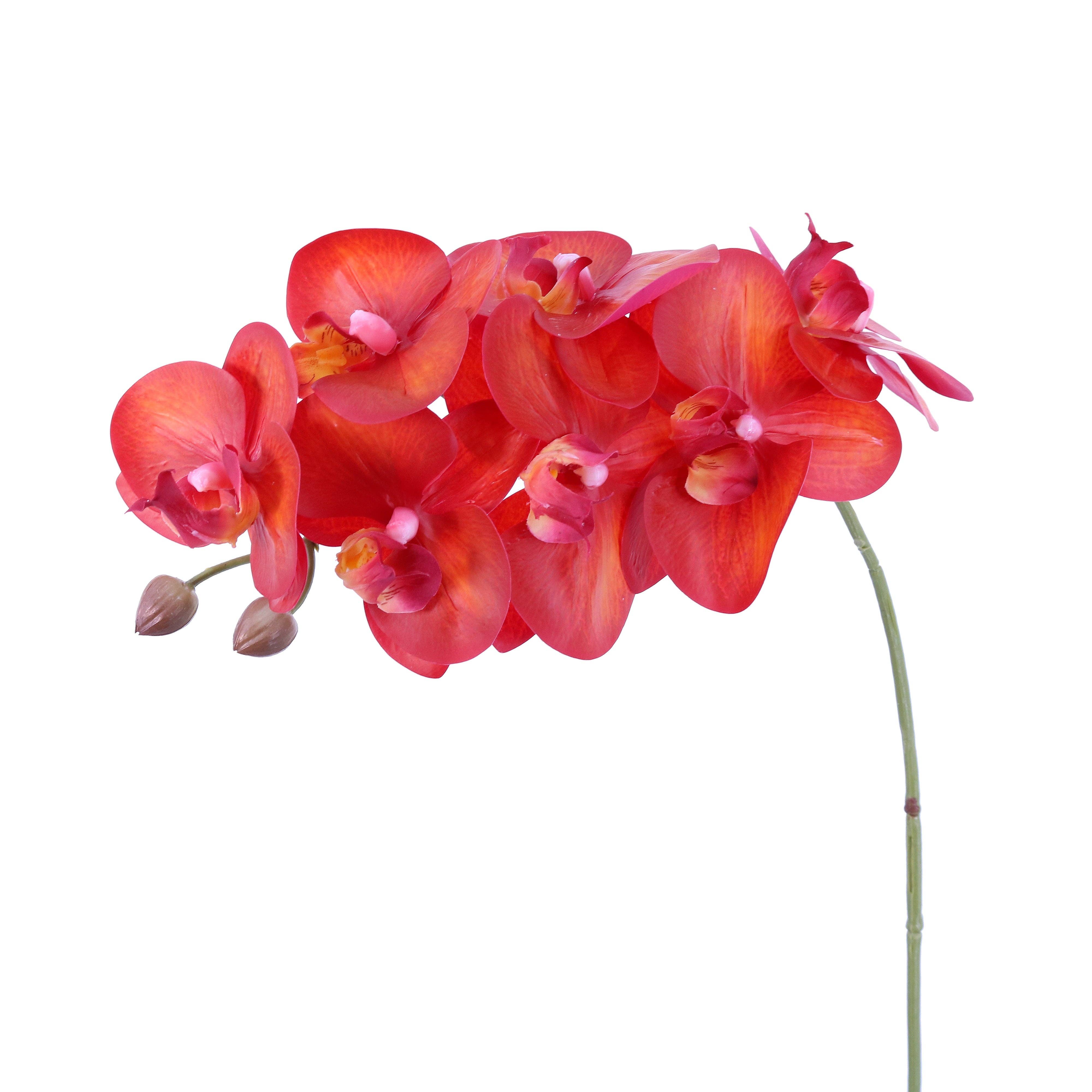 Green Import Limited – Engroshandel Kunstige blomster – FL11791 PHALAENOPSIS SPX9F (NAT. TOUCH), 46 tommer0