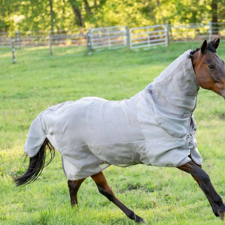 Drap anti-mouches technique TuffRider NevaTear à encolure combinée pour la vente par JPC Equestrian