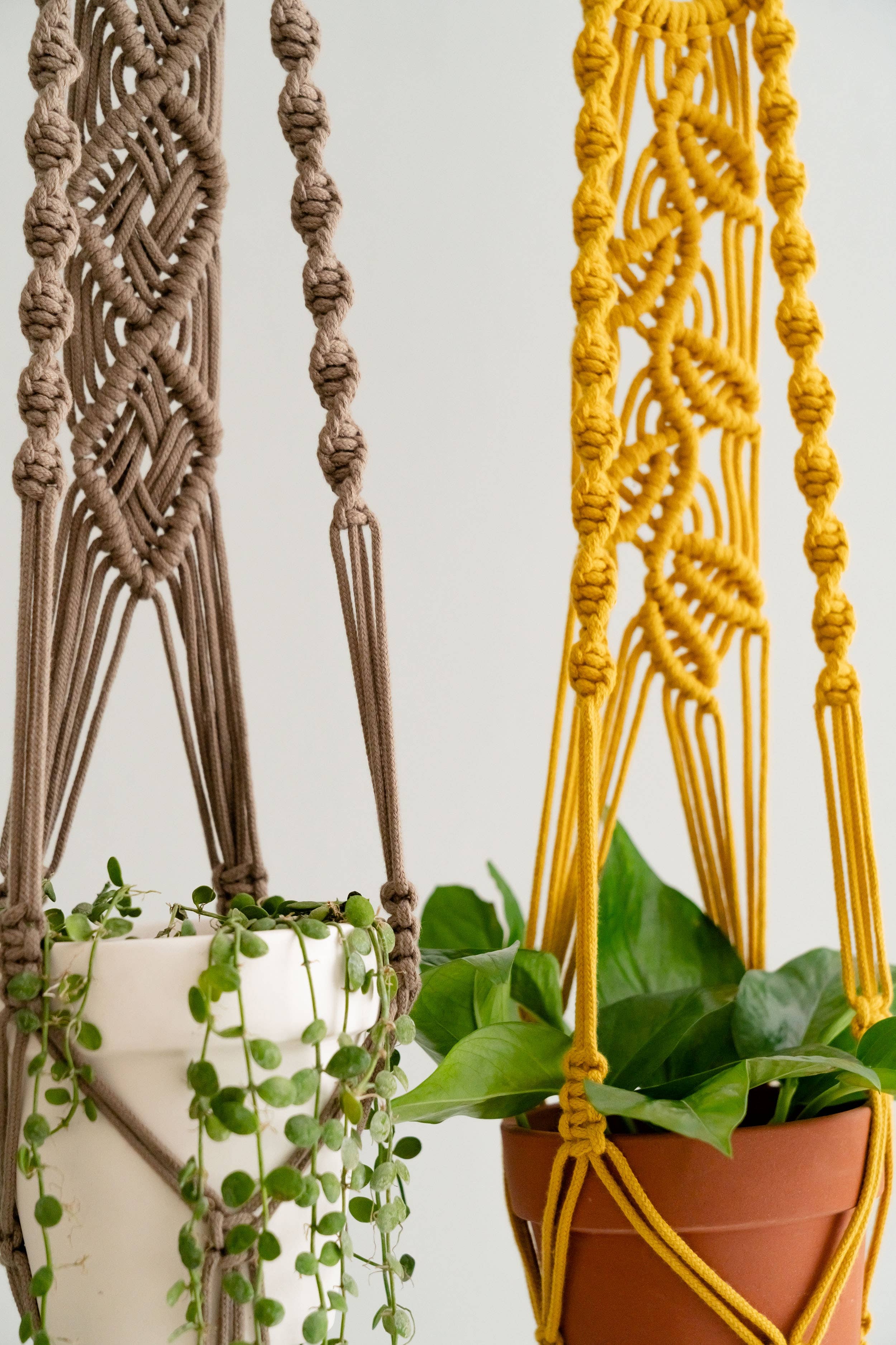 BeanDaikon – wholesale Hanging planter – Macrame Plant Hanger I716