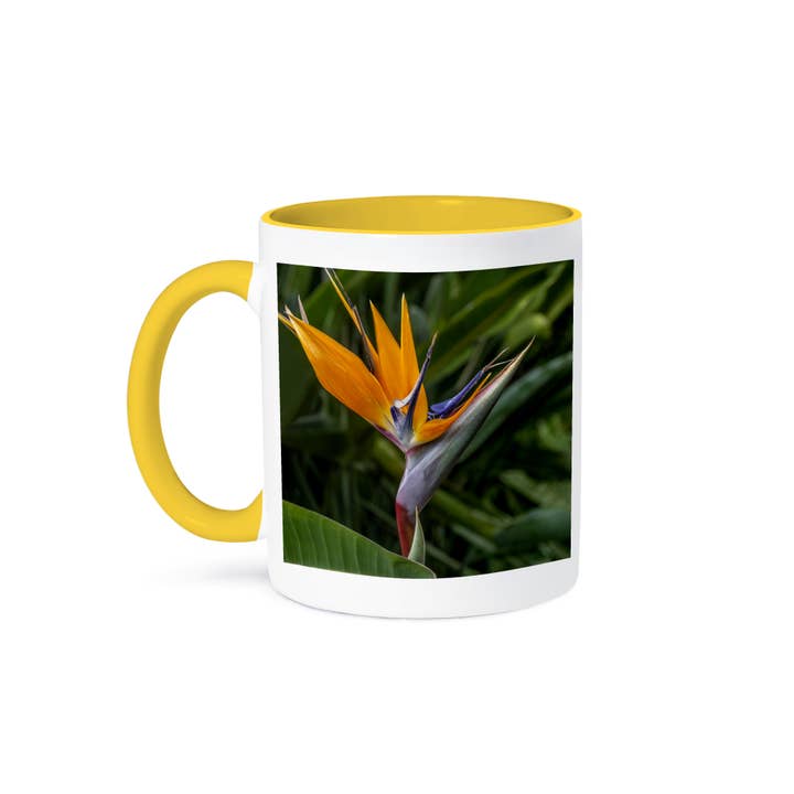 3dRose - Wholesale Coffee Mug - 3dRose, Bird of Paradise., Mug