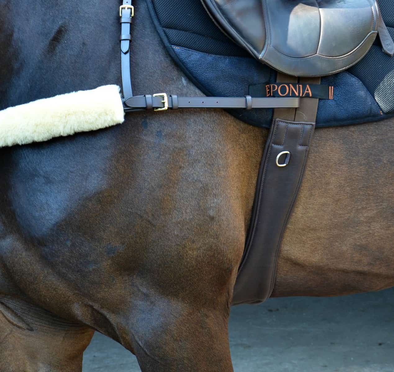 EPONIA EQUESTRIAN LIFESTYLE - Vente Équipement d’équitation - Sangle polyvalente en cuir véritable souple4