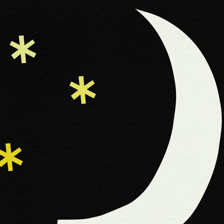 Surprise Radish - Wholesale Art Print - Nighttime Art Print1