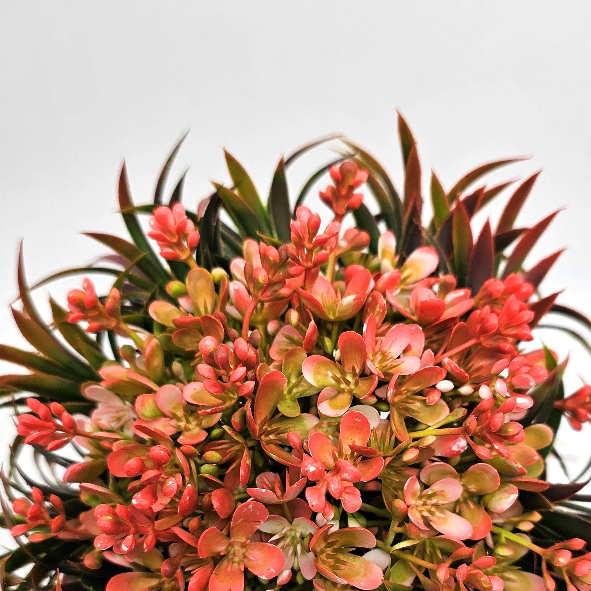 Ledsone – wholesale Artificial plant – Small Potted Artificial Flower 2 Pack Indoor Décor ~538130