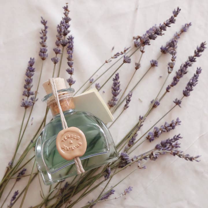 Nicolosi Créations - Wholesale Reed Diffuser - Room diffuser 100ml wax seal (45 scents available)