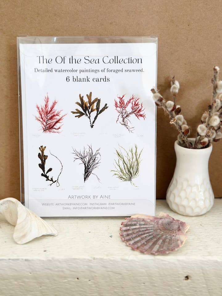 Seaweed Cardpack for wholesale by Artwork by Aine