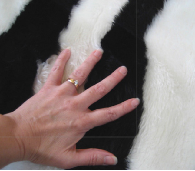 Walk on Me - Wholesale Area Rug - bold striped zebra pelt2