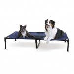 Petdropshipper - Wholesale Pet Bed - Dog - K&H Pet Products Original Pet Cot Elevated Dog Bed Blue/Black 1ea/XL 32 X 50 X 9 in