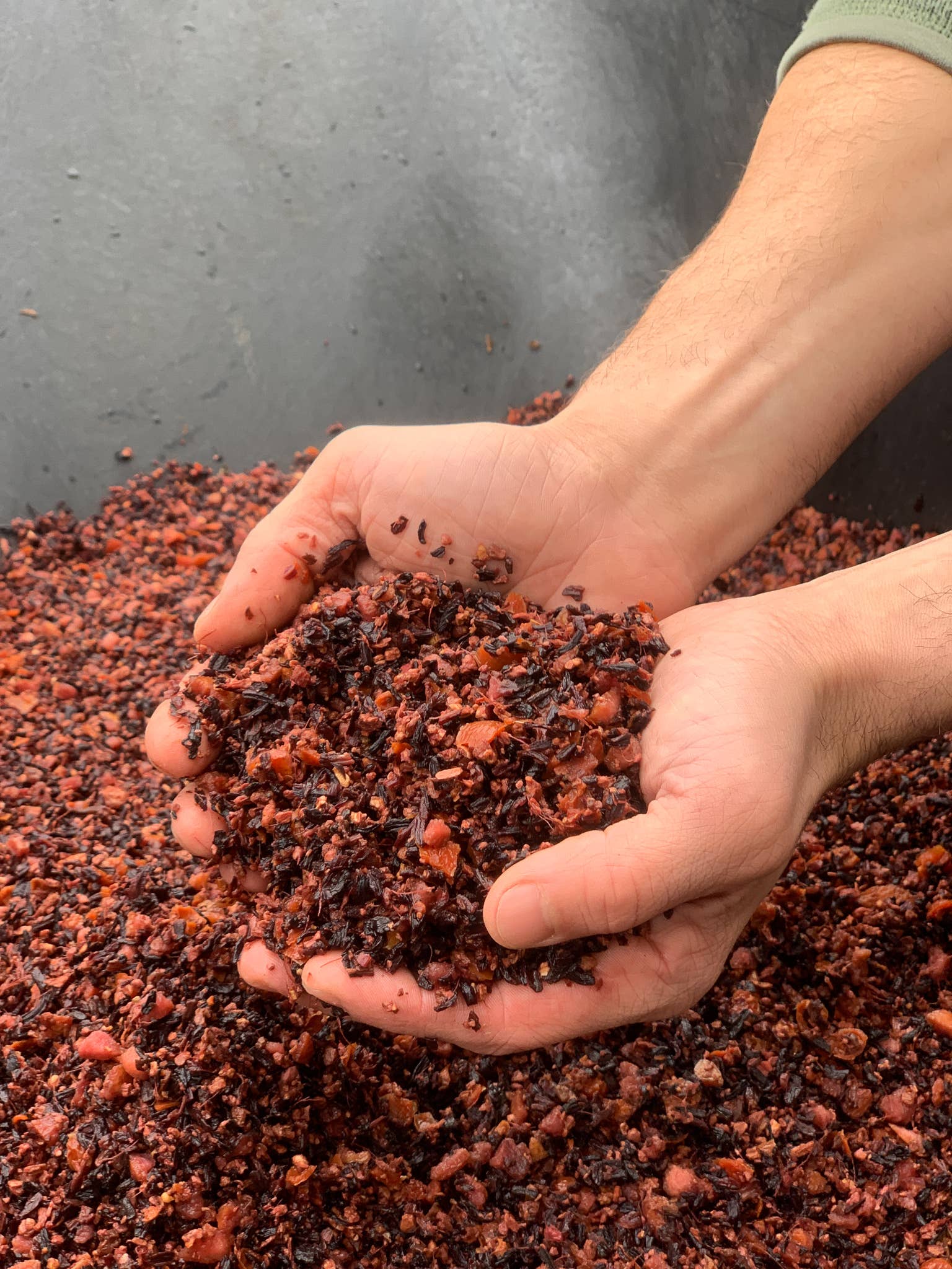 QUIVR - Wholesale Iced Tea - Nitro Hibiscus Iced Tea 12oz Cold Brew Drink | Keto | Paleo9