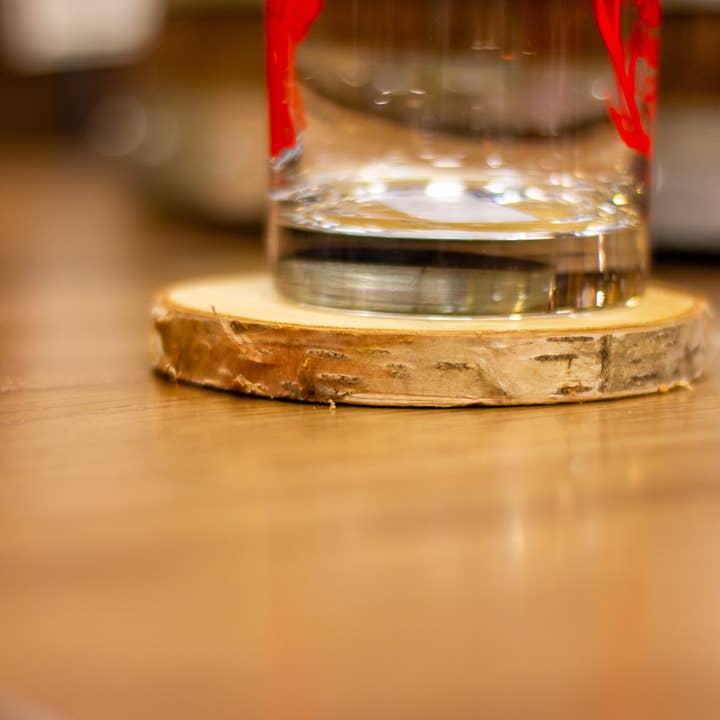 Winter Woods - Wholesale Coasters - Birch Coasters3