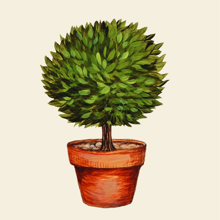 Serviettes à cocktail Topiary - Paquet de 20 pour la vente par Hester & Cook - Stationery