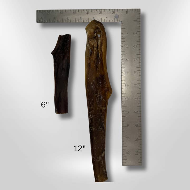 Camel Skin Wholesale Pack for wholesale by Tasty Tails LLC