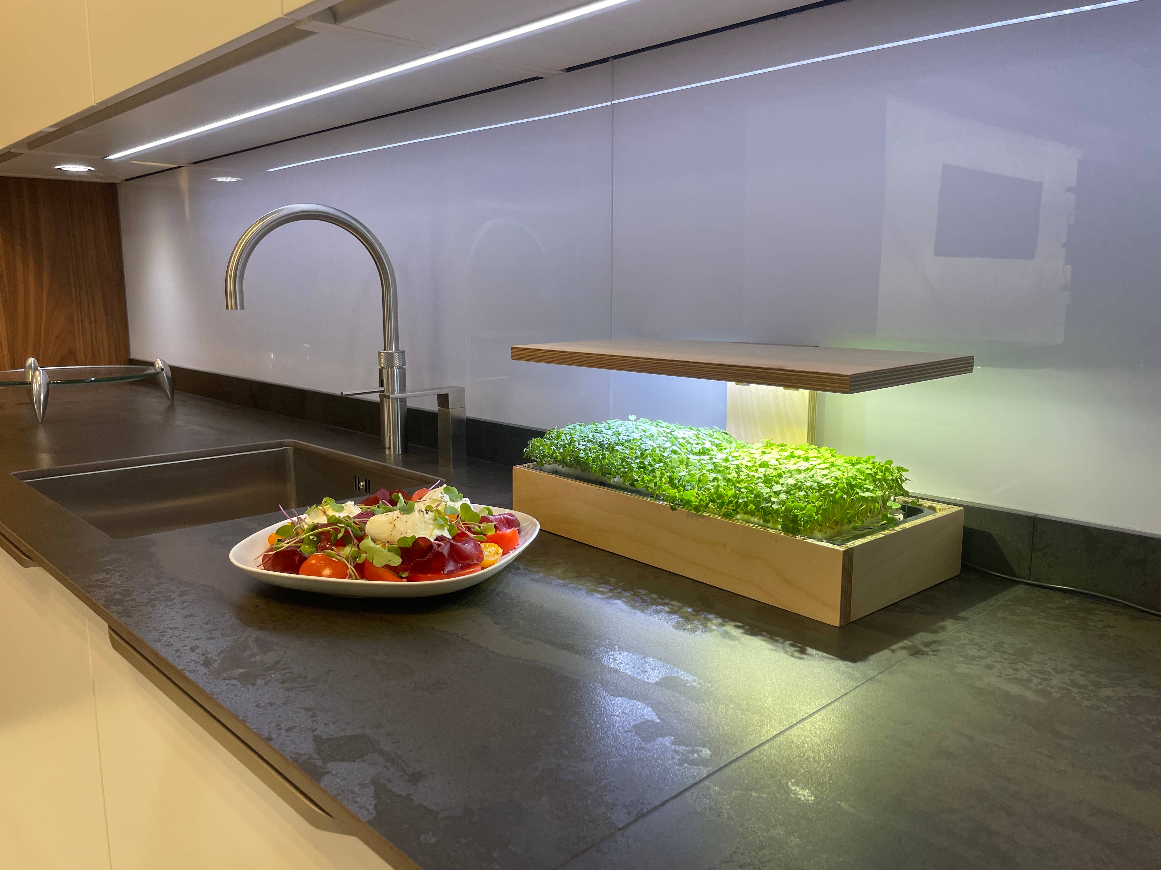 Caulys - Wholesale Plant Pot - Caulys Home - SOLO3