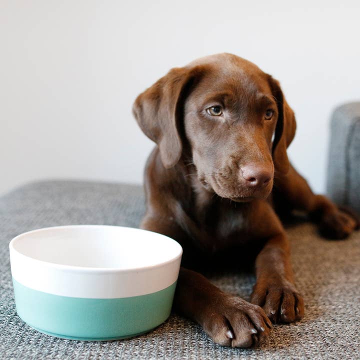 Waggo - Wholesale Pet Bowl - Cat/Dog - Dipper Ceramic Dog Bowl10