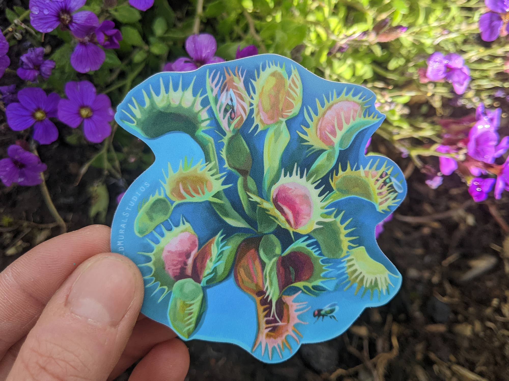 Marigold Art Studios - Wholesale Sticker - Venus Fly Trap Sticker1