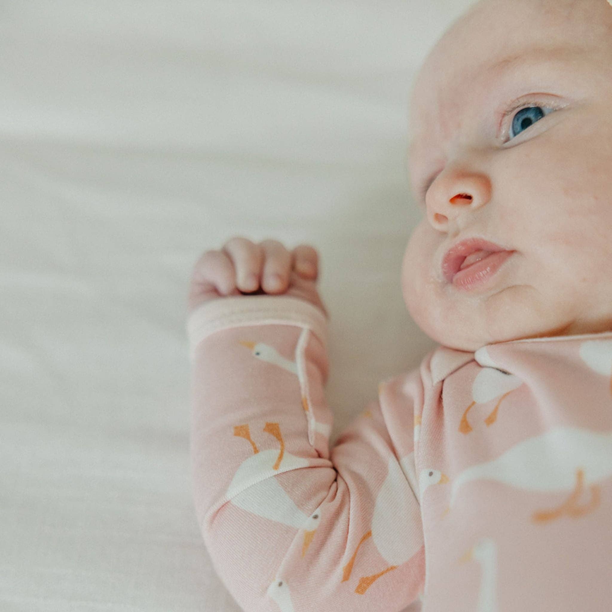 Copper Pearl - Wholesale Bodysuit (Non-Footed) - Baby - Long Sleeve Bodysuit - Goosie4