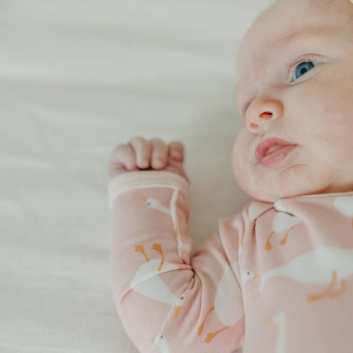 Copper Pearl - Wholesale Bodysuit (Non-Footed) - Baby - Long Sleeve Bodysuit - Goosie4