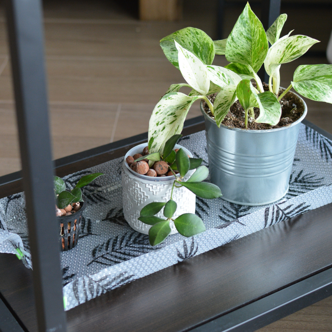 Plantmats - Wholesale DIY Craft Kit - Wish Me 'Leca' Starter Kit8