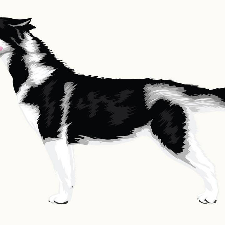 Siberische Husky-sticker voor wholesale door Cover-Alls Decals