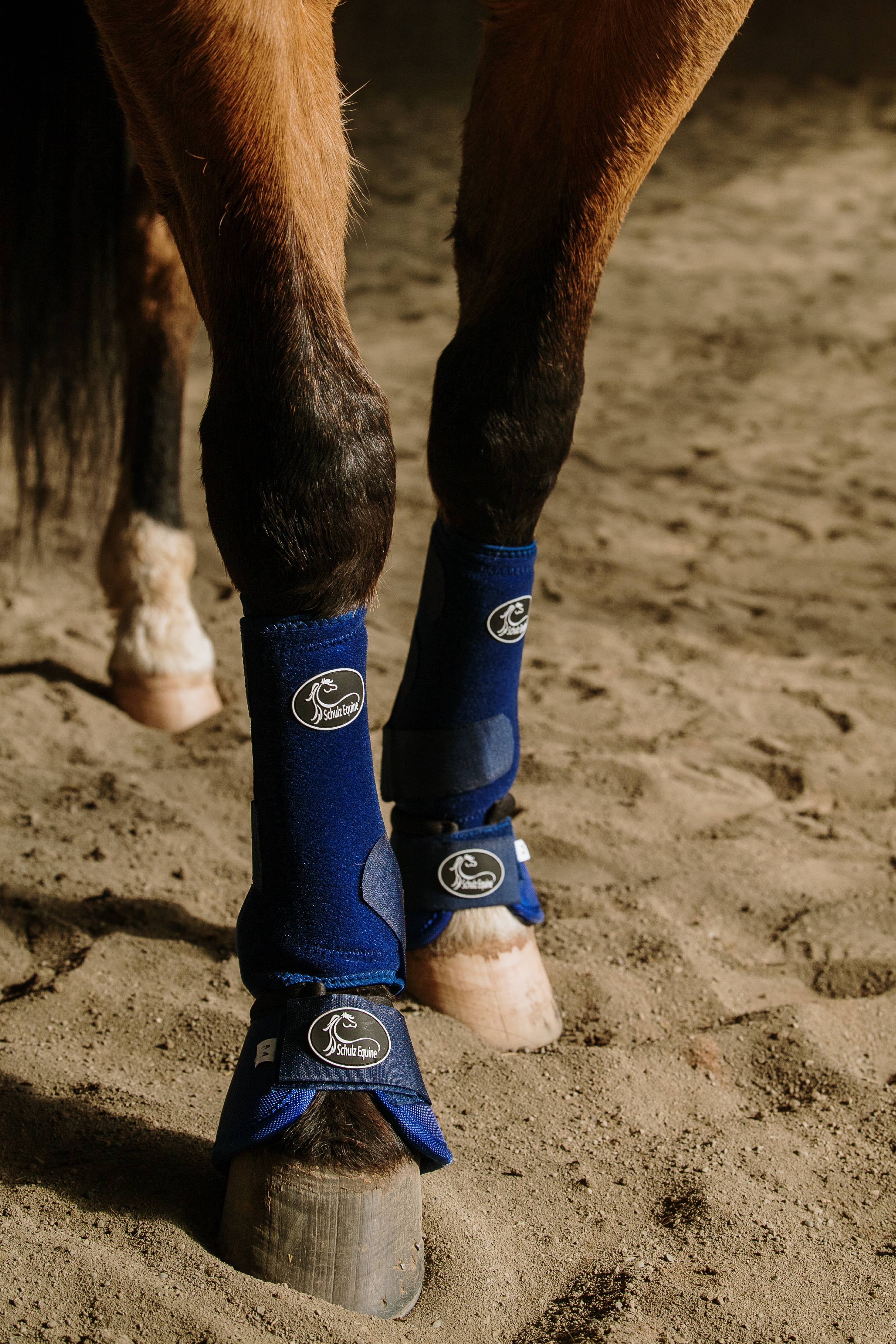 Schulz Equine - Vendita all'ingrosso Attrezzatura da equitazione - Stivali sportivi AirFlow - Confezione da 29