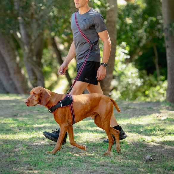 Rogz USA - Wholesale Pet Leash - Dog - AirTech Dog Multi Lead Medium1