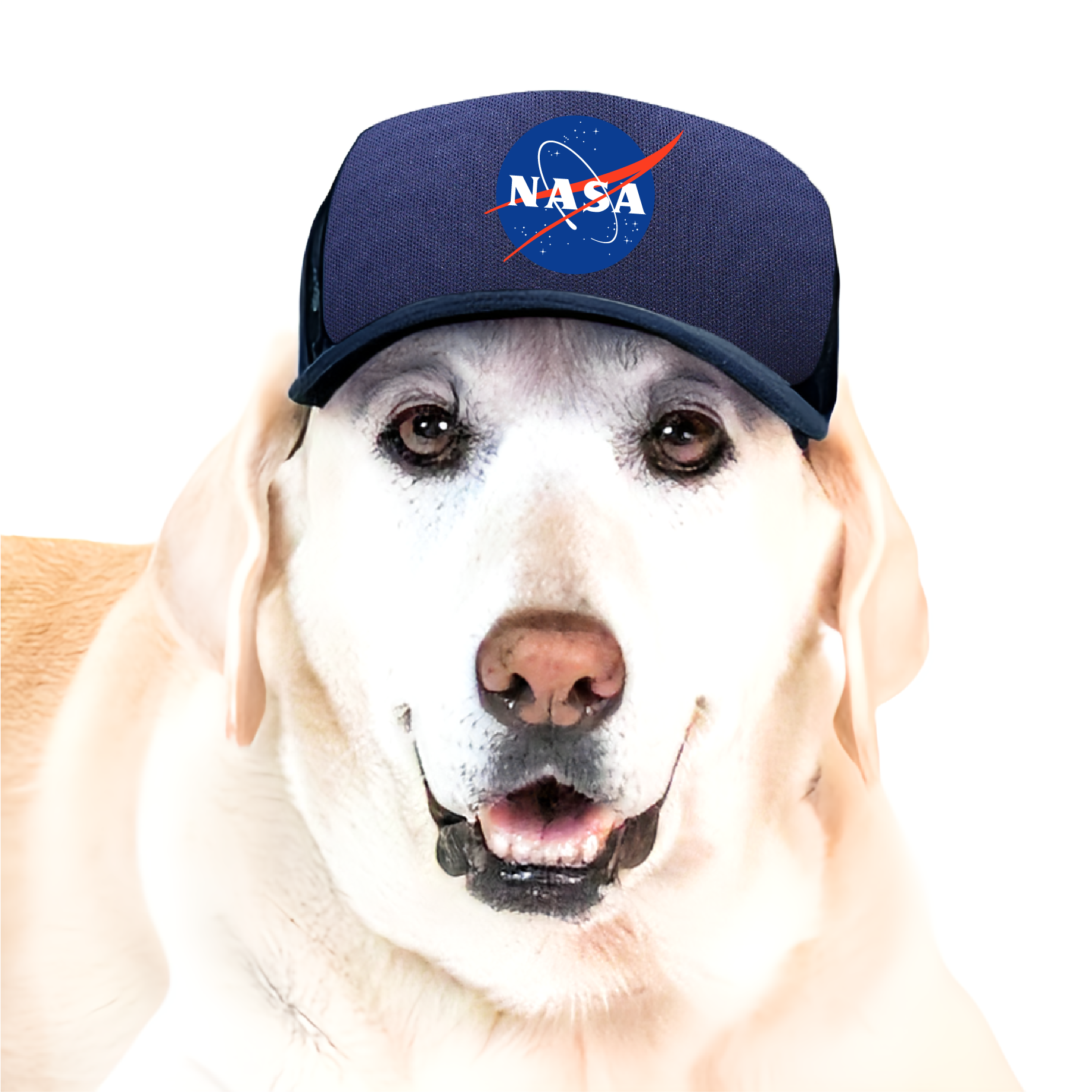 PupLid - Wholesale Pet Hat - Dog - NASA Meatball | Foam Trucker Hat4