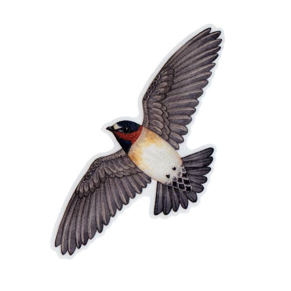 Kate Dolamore Art - Wholesale Sticker - Cliff Swallow Vinyl Bird Sticker