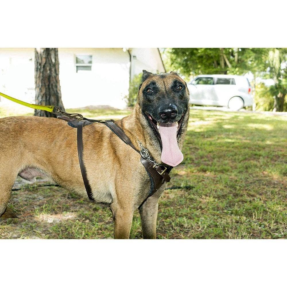 Dogline - Wholesale Hondenriem - Hond - Viper Biothane hondenriem 6 meter - lange lijn106