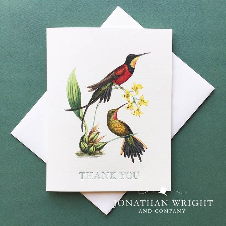 Coppia di colibrì, confezione da 8 pezzi per la vendita all'ingrosso da parte di Jonathan Wright and Company