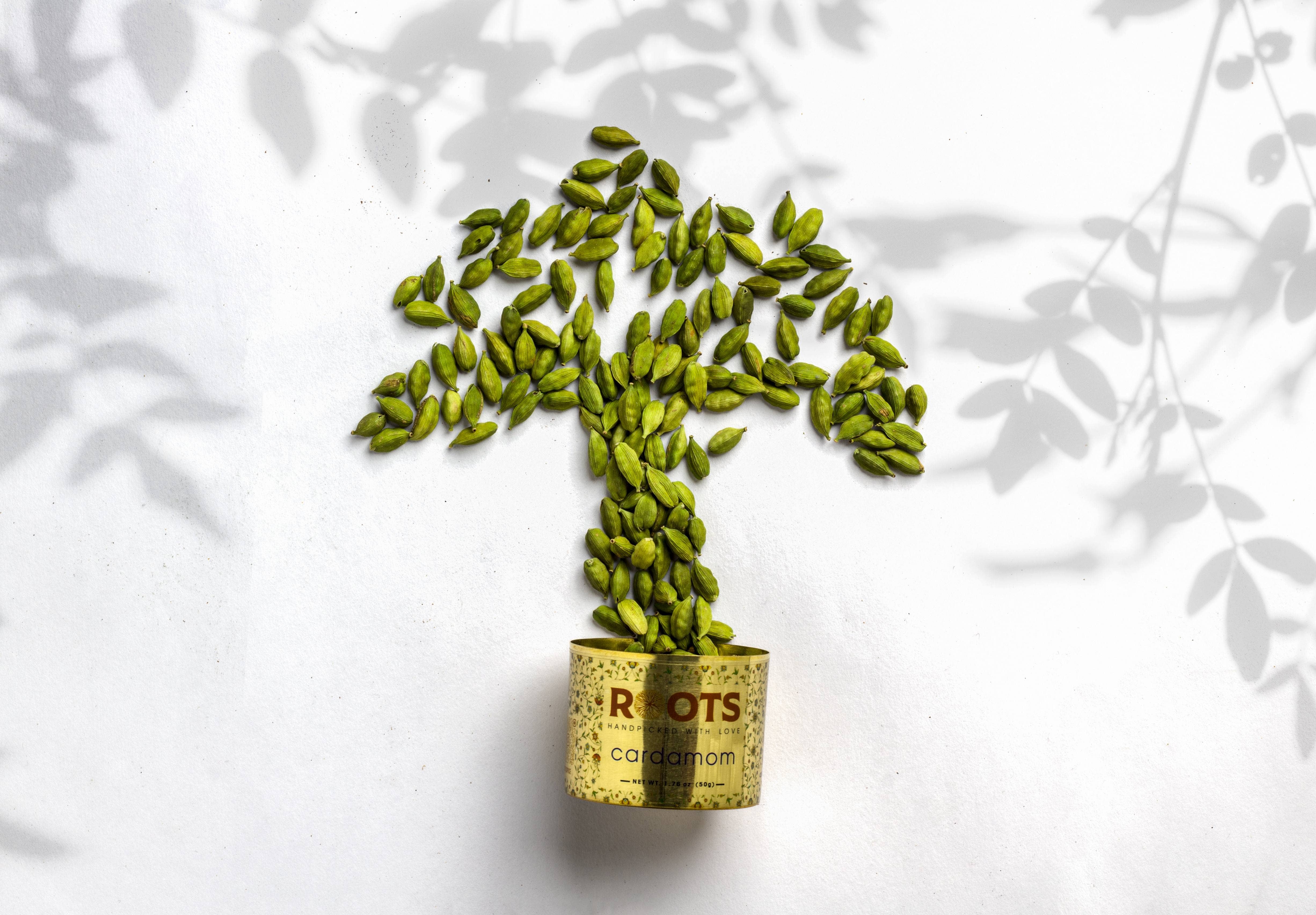 Roots Spice - Wholesale Dried Spice - Cardamom (Case of 12)2