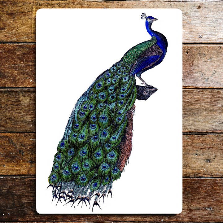 Buntes Metallschild „Perched Peacock on Log“ für den Großhandel von The British Metal Signs Company